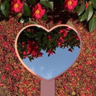 狗万manbet下载手机版