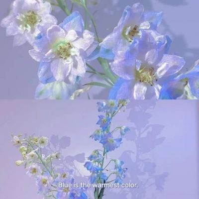 新宝体育官方登录入口