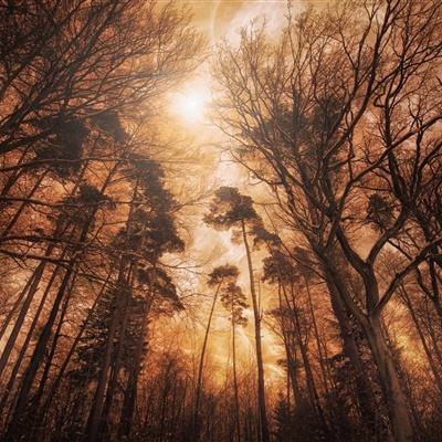 免费竞彩足球推荐app