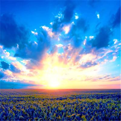 澳门网上黄金城下载手机版