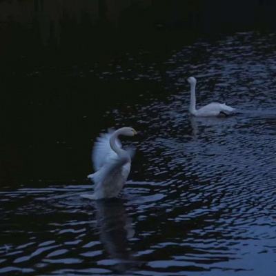 b体育官方下载入口