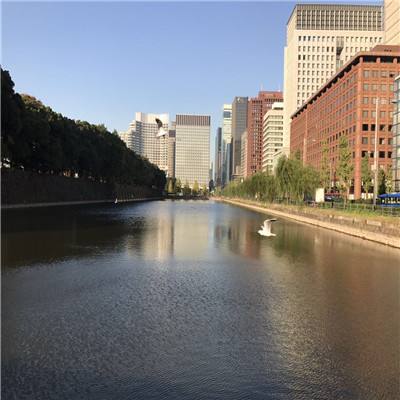 b体育必一官方下载入口截图