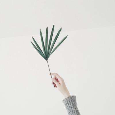 半岛·综合体育下载手机版