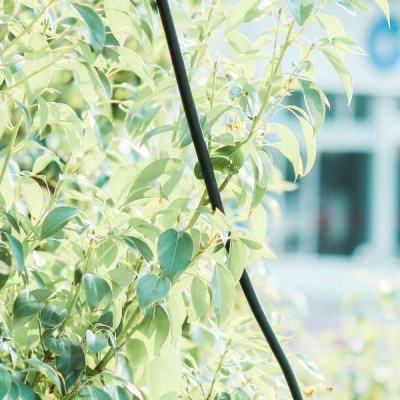 火狐体育下载app手机app下载