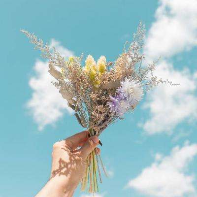 竞技宝app最新版本