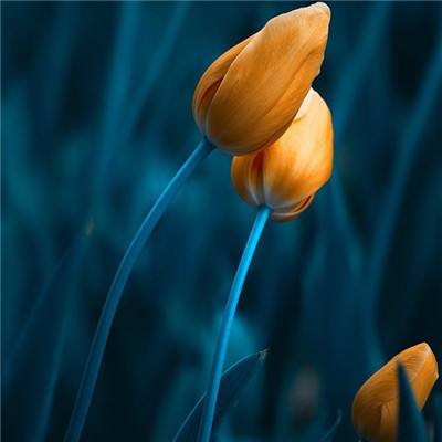 leyu乐鱼·体育手机app下载