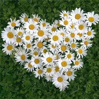 博鱼app下载手机版